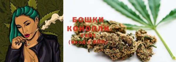 спайс Покачи